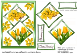 Two squares Yellow tulips
