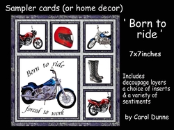 Sampler Born to ride