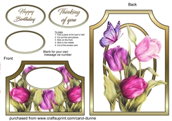 Cutaway Pink tulips