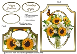 Cutaway Sunflowers