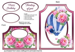 Cutaway Hot air balloon with peonies