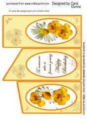 Daisies and Nasturtiums