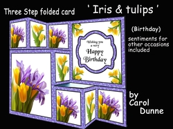TSF Iris & tulips