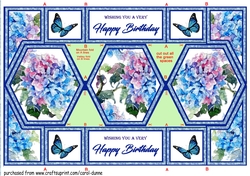 Tri fold Blue Hydrangeas