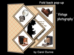 FBP Vintage photography