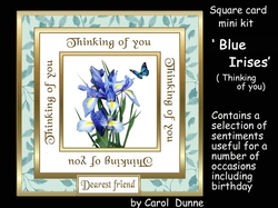 SC Blue Irises (Thinking of you)