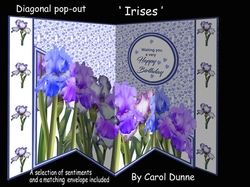 Diagonal pop-out Irises