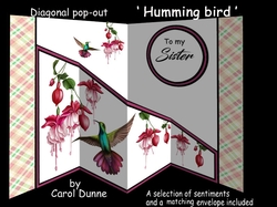 Diagonal pop-out Humming bird
