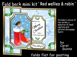 FB Red wellies & robin