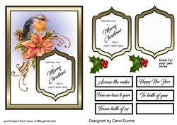 Robin card front