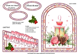 Cutaway Pink lantern