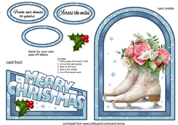 Cutaway Ice skates