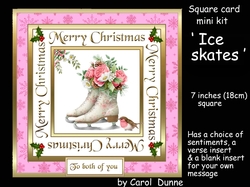 SC Ice skates