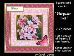 SC Stargazer lilies