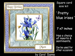 SC Pretty blue irises