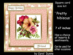 SC Pretty hibiscus
