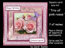 SC Trio of pink roses