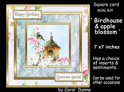 SC Birdhouse & apple blossom
