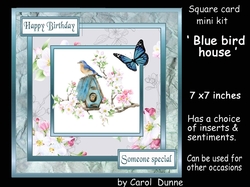 SC Blue bird house