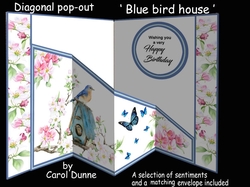 Diagonal pop-out Blue bird house