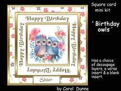 SC Birthday owls