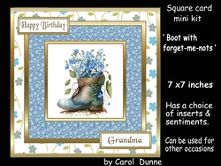 SC Boot with forget-me-nots