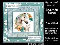 SC Beautiful horse