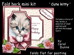 FB Cute kitty 