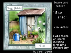 SC Blue shed