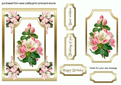 Apple blossom 5x7