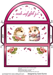 Money wallet Guinea pigs