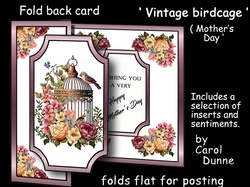 FB Vintage Birdcage MD