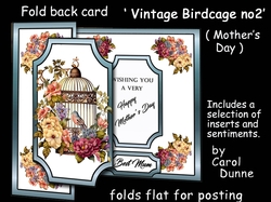 FB Vintage Birdcage no2 MD