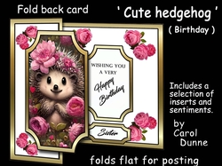 FB Cute hedgehog (Birthday)