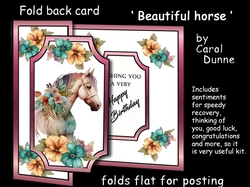 FB Beautiful horse