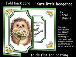 FB Cute little hedgehog