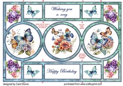 Circle shutter Blue butterflies