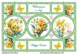 Circle shutter Daffodils Easter