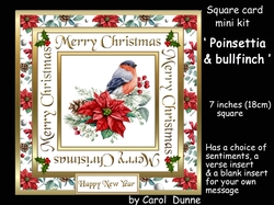 SC Poinsettia & bullfinch