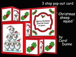 TSF Christmas sheep squad