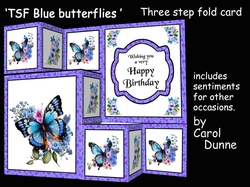 TSF Blue butterflies