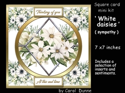 SC White daisies (Sympathy)