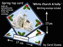 Spring top White Church & holly