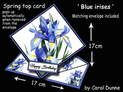 Spring top Blue Irises