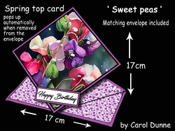 Spring top Sweet peas