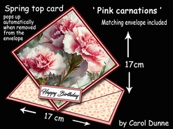 Spring top Pink carnations