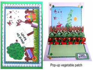 Pop-up Veg Patch