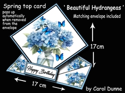 Spring top Beautiful Hydrangeas