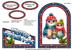 Cutaway Christmas Owl family
