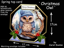 Octagon spring top Christmas owl